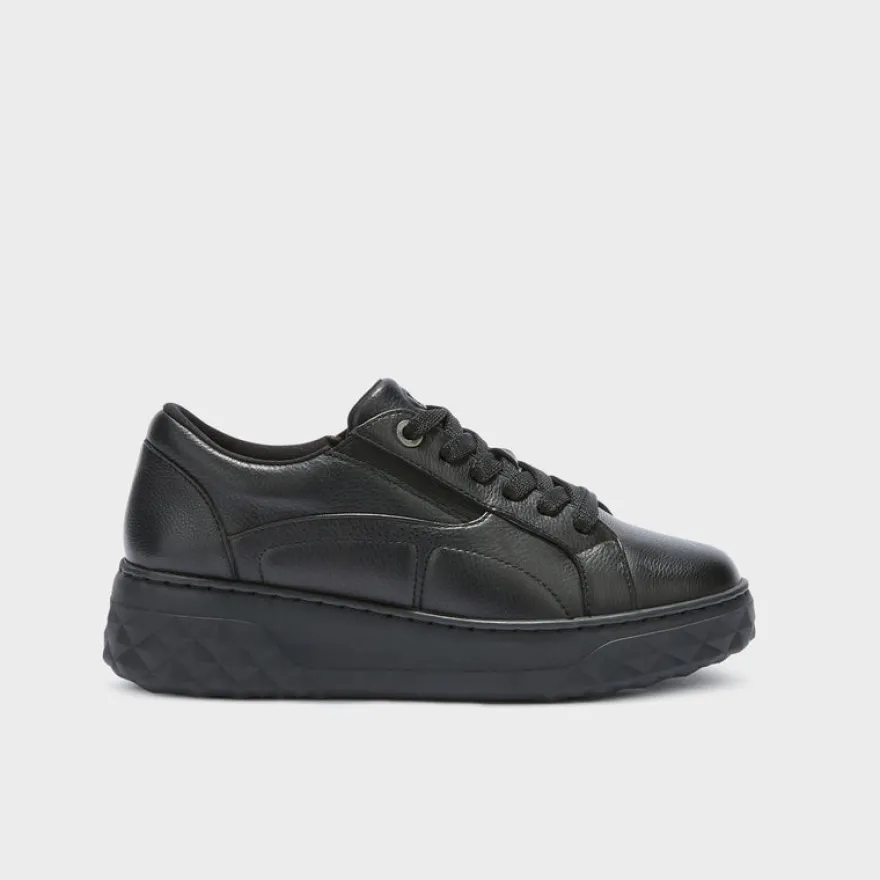 urban elastic