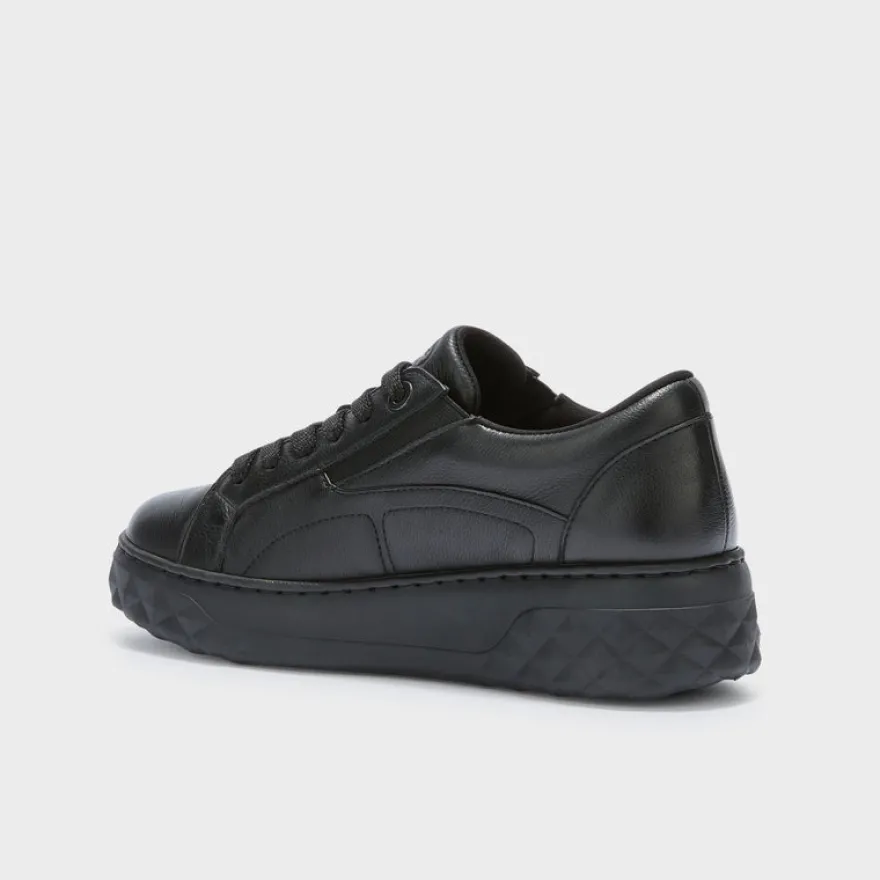 urban elastic